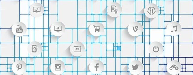 SNSや口コミをチェックしていない